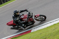 anglesey;brands-hatch;cadwell-park;croft;donington-park;enduro-digital-images;event-digital-images;eventdigitalimages;mallory;no-limits;oulton-park;peter-wileman-photography;racing-digital-images;silverstone;snetterton;trackday-digital-images;trackday-photos;vmcc-banbury-run;welsh-2-day-enduro