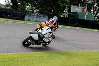 anglesey;brands-hatch;cadwell-park;croft;donington-park;enduro-digital-images;event-digital-images;eventdigitalimages;mallory;no-limits;oulton-park;peter-wileman-photography;racing-digital-images;silverstone;snetterton;trackday-digital-images;trackday-photos;vmcc-banbury-run;welsh-2-day-enduro