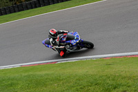 anglesey;brands-hatch;cadwell-park;croft;donington-park;enduro-digital-images;event-digital-images;eventdigitalimages;mallory;no-limits;oulton-park;peter-wileman-photography;racing-digital-images;silverstone;snetterton;trackday-digital-images;trackday-photos;vmcc-banbury-run;welsh-2-day-enduro