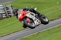 anglesey;brands-hatch;cadwell-park;croft;donington-park;enduro-digital-images;event-digital-images;eventdigitalimages;mallory;no-limits;oulton-park;peter-wileman-photography;racing-digital-images;silverstone;snetterton;trackday-digital-images;trackday-photos;vmcc-banbury-run;welsh-2-day-enduro