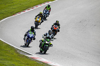 Lower Group Green Bikes