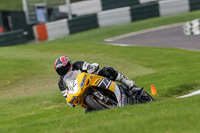 Advanced Group Yellow Bikes