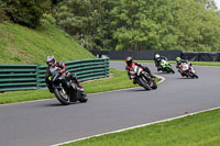 cadwell-no-limits-trackday;cadwell-park;cadwell-park-photographs;cadwell-trackday-photographs;enduro-digital-images;event-digital-images;eventdigitalimages;no-limits-trackdays;peter-wileman-photography;racing-digital-images;trackday-digital-images;trackday-photos