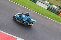 Lower Group Blue Bikes