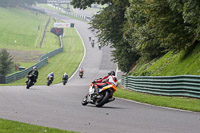 Lower Group Orange Bikes