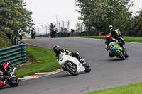 Lower Group White Bikes