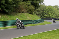 Middle Group Silver/Grey Bikes