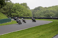 cadwell-no-limits-trackday;cadwell-park;cadwell-park-photographs;cadwell-trackday-photographs;enduro-digital-images;event-digital-images;eventdigitalimages;no-limits-trackdays;peter-wileman-photography;racing-digital-images;trackday-digital-images;trackday-photos