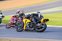 Lower Group Yellow Bikes