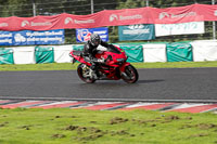 Lower Group Red Bikes