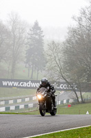 Lower Group Black Bikes