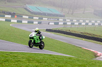 Lower Group Green Bikes