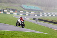 Lower Group White Bikes
