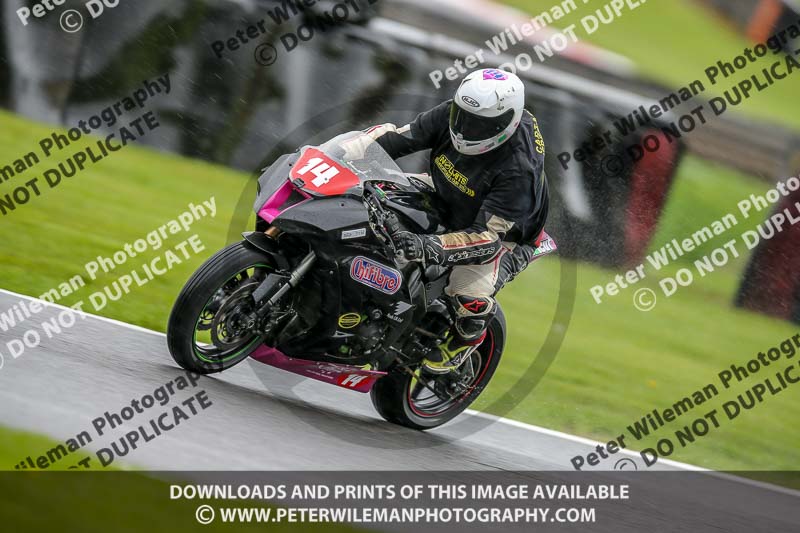 anglesey;brands hatch;cadwell park;croft;donington park;enduro digital images;event digital images;eventdigitalimages;mallory;no limits;oltonpark April 2018;oulton park;peter wileman photography;racing digital images;silverstone;snetterton;trackday digital images;trackday photos;vmcc banbury run;welsh 2 day enduro