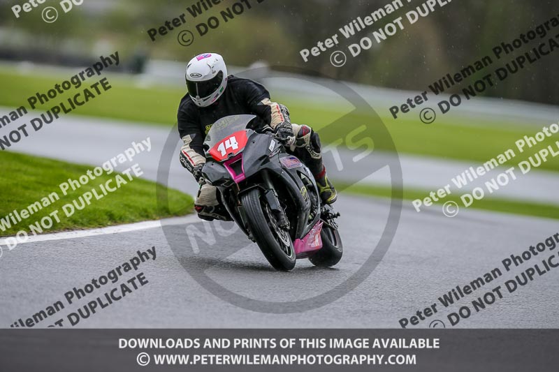 anglesey;brands hatch;cadwell park;croft;donington park;enduro digital images;event digital images;eventdigitalimages;mallory;no limits;oltonpark April 2018;oulton park;peter wileman photography;racing digital images;silverstone;snetterton;trackday digital images;trackday photos;vmcc banbury run;welsh 2 day enduro