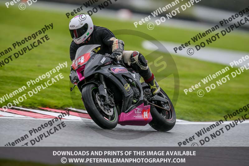 anglesey;brands hatch;cadwell park;croft;donington park;enduro digital images;event digital images;eventdigitalimages;mallory;no limits;oltonpark April 2018;oulton park;peter wileman photography;racing digital images;silverstone;snetterton;trackday digital images;trackday photos;vmcc banbury run;welsh 2 day enduro