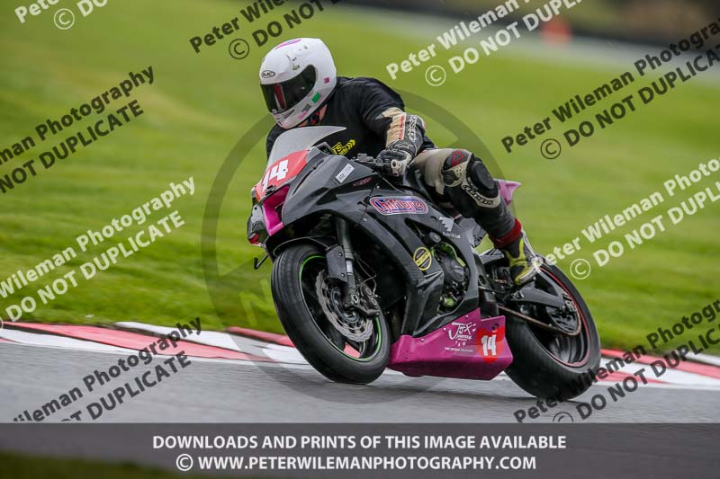 anglesey;brands hatch;cadwell park;croft;donington park;enduro digital images;event digital images;eventdigitalimages;mallory;no limits;oltonpark April 2018;oulton park;peter wileman photography;racing digital images;silverstone;snetterton;trackday digital images;trackday photos;vmcc banbury run;welsh 2 day enduro