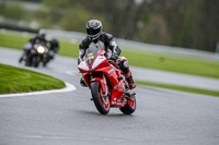 anglesey;brands-hatch;cadwell-park;croft;donington-park;enduro-digital-images;event-digital-images;eventdigitalimages;mallory;no-limits;oltonpark-April-2018;oulton-park;peter-wileman-photography;racing-digital-images;silverstone;snetterton;trackday-digital-images;trackday-photos;vmcc-banbury-run;welsh-2-day-enduro