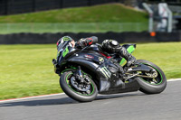 brands-hatch-photographs;brands-no-limits-trackday;cadwell-trackday-photographs;enduro-digital-images;event-digital-images;eventdigitalimages;no-limits-trackdays;peter-wileman-photography;racing-digital-images;trackday-digital-images;trackday-photos