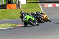 Middle Yellow Group Green Bikes