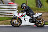 brands-hatch-photographs;brands-no-limits-trackday;cadwell-trackday-photographs;enduro-digital-images;event-digital-images;eventdigitalimages;no-limits-trackdays;peter-wileman-photography;racing-digital-images;trackday-digital-images;trackday-photos