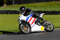 brands-hatch-photographs;brands-no-limits-trackday;cadwell-trackday-photographs;enduro-digital-images;event-digital-images;eventdigitalimages;no-limits-trackdays;peter-wileman-photography;racing-digital-images;trackday-digital-images;trackday-photos
