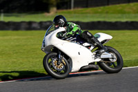 brands-hatch-photographs;brands-no-limits-trackday;cadwell-trackday-photographs;enduro-digital-images;event-digital-images;eventdigitalimages;no-limits-trackdays;peter-wileman-photography;racing-digital-images;trackday-digital-images;trackday-photos