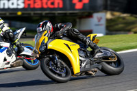 Lower Group Yellow Bikes