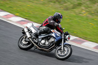 Advanced Group Silver/Grey Bikes