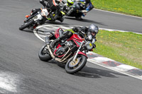 Middle Group Red Bikes