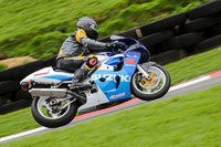 cadwell-no-limits-trackday;cadwell-park;cadwell-park-photographs;cadwell-trackday-photographs;enduro-digital-images;event-digital-images;eventdigitalimages;no-limits-trackdays;peter-wileman-photography;racing-digital-images;trackday-digital-images;trackday-photos