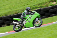 Lower Group Green Bikes