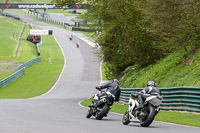 Lower Group White Bikes