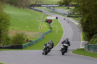 Lower Group White Bikes