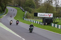 Middle  Group Green Bikes