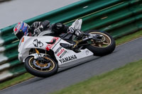 Advanced Group White Bikes