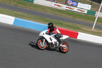 enduro-digital-images;event-digital-images;eventdigitalimages;mallory-park;mallory-park-photographs;mallory-park-trackday;mallory-park-trackday-photographs;no-limits-trackdays;peter-wileman-photography;racing-digital-images;trackday-digital-images;trackday-photos