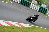 Lower Group Black Bikes
