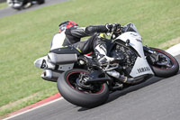 Advanced Group White Bikes