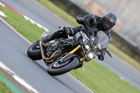 Evening Low/Mid Group Silver/Grey Bikes