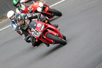 brands-hatch-photographs;brands-no-limits-trackday;cadwell-trackday-photographs;enduro-digital-images;event-digital-images;eventdigitalimages;no-limits-trackdays;peter-wileman-photography;racing-digital-images;trackday-digital-images;trackday-photos