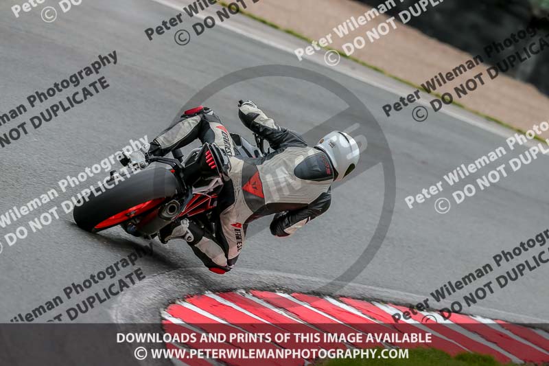 Oulton Park 17 Aug 2018;PJ Motorsport Photography 2018;anglesey;brands hatch;cadwell park;croft;donington park;enduro digital images;event digital images;eventdigitalimages;mallory;no limits;oulton park;peter wileman photography;racing digital images;silverstone;snetterton;trackday digital images;trackday photos;vmcc banbury run;welsh 2 day enduro