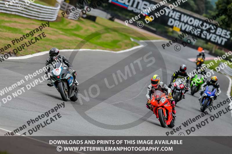 Oulton Park 17 Aug 2018;PJ Motorsport Photography 2018;anglesey;brands hatch;cadwell park;croft;donington park;enduro digital images;event digital images;eventdigitalimages;mallory;no limits;oulton park;peter wileman photography;racing digital images;silverstone;snetterton;trackday digital images;trackday photos;vmcc banbury run;welsh 2 day enduro