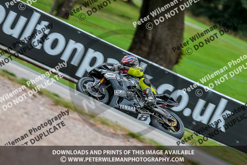 Oulton Park 17 Aug 2018;PJ Motorsport Photography 2018;anglesey;brands hatch;cadwell park;croft;donington park;enduro digital images;event digital images;eventdigitalimages;mallory;no limits;oulton park;peter wileman photography;racing digital images;silverstone;snetterton;trackday digital images;trackday photos;vmcc banbury run;welsh 2 day enduro