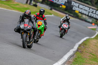 Oulton-Park-17-Aug-2018;PJ-Motorsport-Photography-2018;anglesey;brands-hatch;cadwell-park;croft;donington-park;enduro-digital-images;event-digital-images;eventdigitalimages;mallory;no-limits;oulton-park;peter-wileman-photography;racing-digital-images;silverstone;snetterton;trackday-digital-images;trackday-photos;vmcc-banbury-run;welsh-2-day-enduro