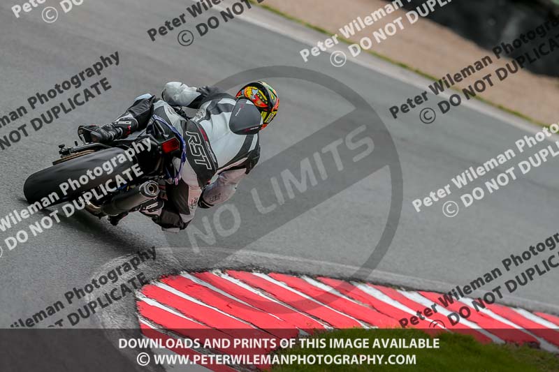 Oulton Park 17 Aug 2018;PJ Motorsport Photography 2018;anglesey;brands hatch;cadwell park;croft;donington park;enduro digital images;event digital images;eventdigitalimages;mallory;no limits;oulton park;peter wileman photography;racing digital images;silverstone;snetterton;trackday digital images;trackday photos;vmcc banbury run;welsh 2 day enduro