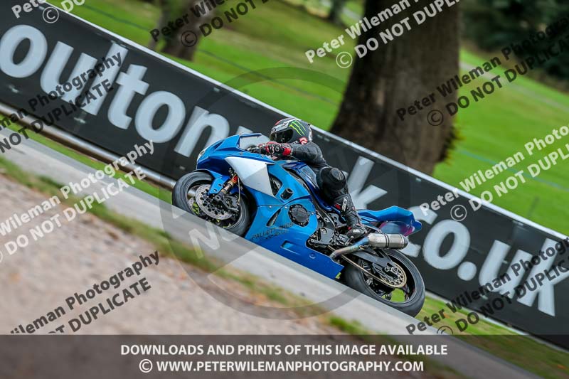 Oulton Park 17 Aug 2018;PJ Motorsport Photography 2018;anglesey;brands hatch;cadwell park;croft;donington park;enduro digital images;event digital images;eventdigitalimages;mallory;no limits;oulton park;peter wileman photography;racing digital images;silverstone;snetterton;trackday digital images;trackday photos;vmcc banbury run;welsh 2 day enduro