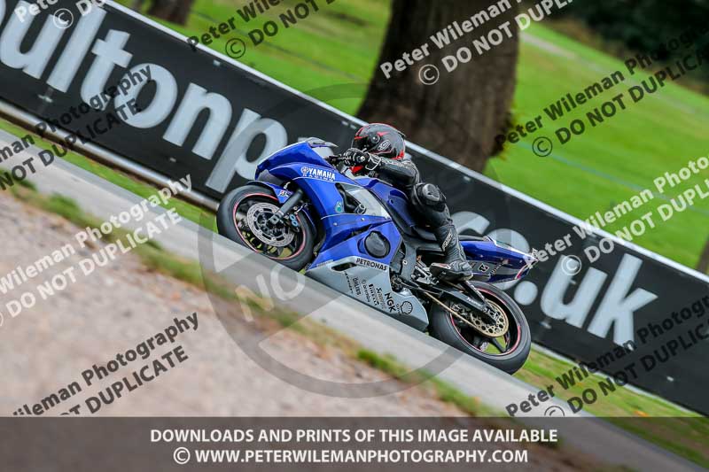 Oulton Park 17 Aug 2018;PJ Motorsport Photography 2018;anglesey;brands hatch;cadwell park;croft;donington park;enduro digital images;event digital images;eventdigitalimages;mallory;no limits;oulton park;peter wileman photography;racing digital images;silverstone;snetterton;trackday digital images;trackday photos;vmcc banbury run;welsh 2 day enduro