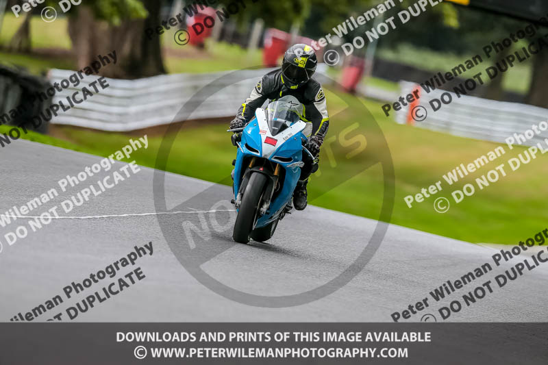 Oulton Park 17 Aug 2018;PJ Motorsport Photography 2018;anglesey;brands hatch;cadwell park;croft;donington park;enduro digital images;event digital images;eventdigitalimages;mallory;no limits;oulton park;peter wileman photography;racing digital images;silverstone;snetterton;trackday digital images;trackday photos;vmcc banbury run;welsh 2 day enduro