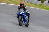 Oulton-Park-17-Aug-2018;PJ-Motorsport-Photography-2018;anglesey;brands-hatch;cadwell-park;croft;donington-park;enduro-digital-images;event-digital-images;eventdigitalimages;mallory;no-limits;oulton-park;peter-wileman-photography;racing-digital-images;silverstone;snetterton;trackday-digital-images;trackday-photos;vmcc-banbury-run;welsh-2-day-enduro